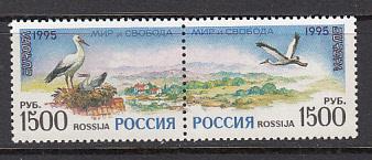 Russia 6294a  1995 Europa Birds Pair MNH