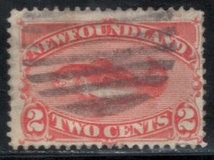 Newfoundland 1887 Codfish 2c Scott # 48 Used