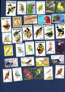 GUYANA - VF MNH - BIRDS - large lot  see the three scans