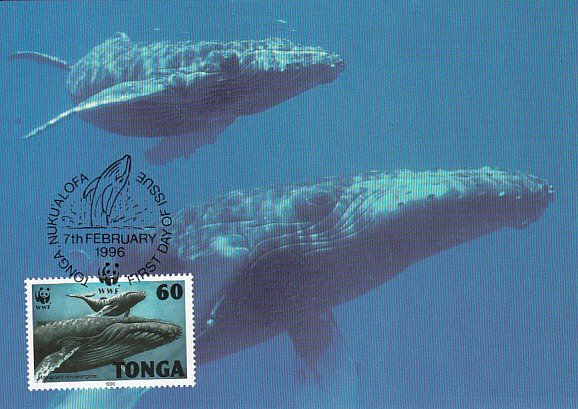 Tonga 1996 Maxicard Sc #916 60s Humpback whale WWF