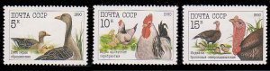 Russia 5909 - 5911 MNH