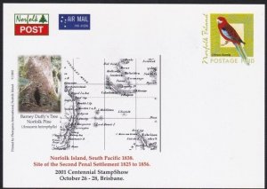 NORFOLK IS 2001 Overseas Postage Paid Birds postcard unused................B3559