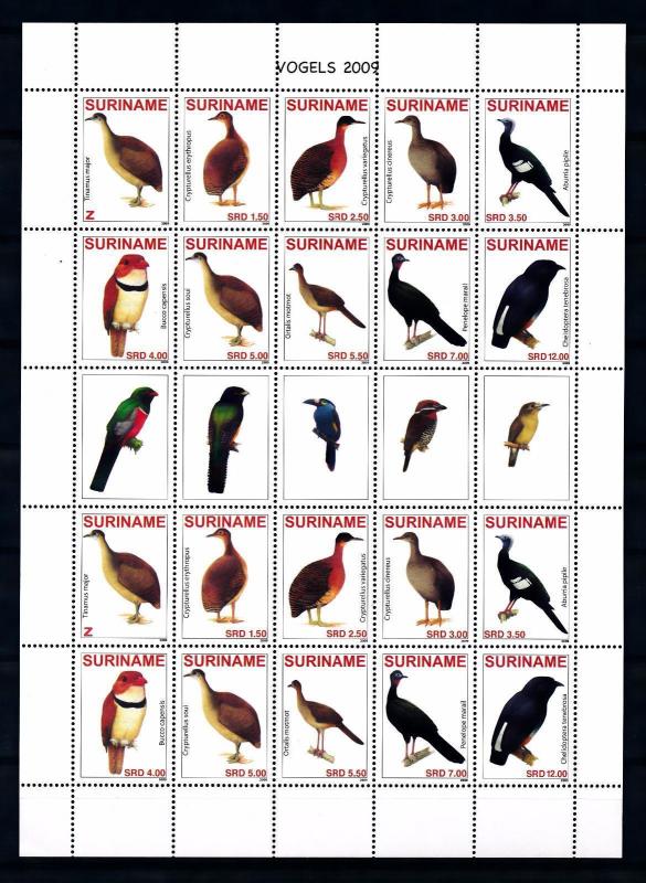 [SUV1593] Surinam Suriname 2009 Birds Vögel Oiseaux Miniature Sheet with tab MNH