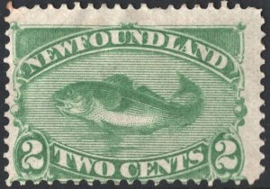 Newfoundland SC#46 2¢ Atlantic Cod (1882) MH