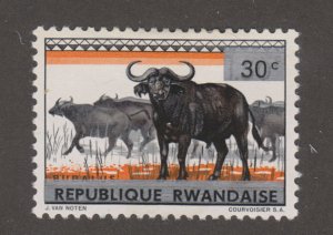 Rwanda 57 Buffalo 1964