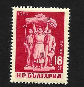 Bulgaria 1955 - MNH - Scott #911