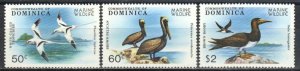 Dominica Stamp 620-621, 623  - All birds from set