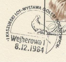 Poland 1984 Card Special Cancellation Homing Pigeons Mail Birds Exhibition