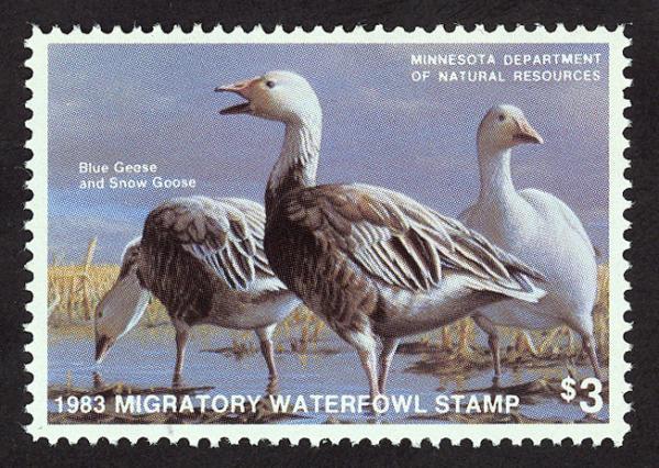 #7, Minnesota State Duck stamp, SCV $12