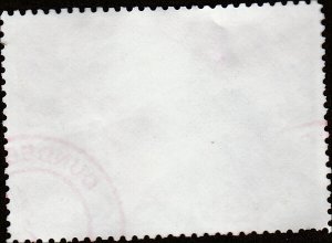 # 2541 USED BALD EAGLE    