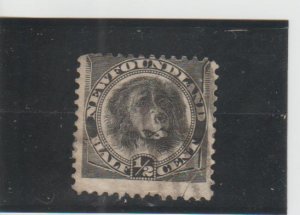 Newfoundland  Scott#  58  Used  (1894 Newfoundland Dog)