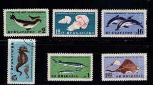 Bulgaria Scott 1164-1169 Used CTO Fish  stamp set