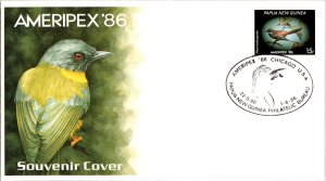 Papua New Guinea, Worldwide First Day Cover, Stamp Collecting