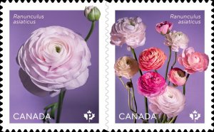 Canada 2023 MNH Stamps Scott 3375-3376 Flowers