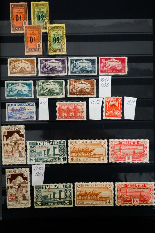 Tunisia 1800's to Mid-1900's Stamp Collection