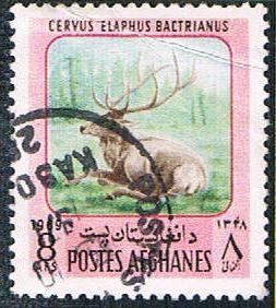 Afghanistan 812 Used Red Deer  (BP3811)