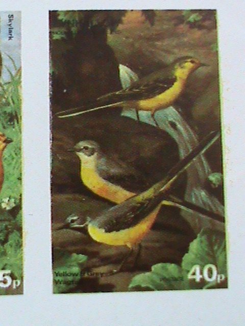 EYNHALLOW SCOTLAND STAMP -RARE BIRDS -IMPERF- MNH - MINI SHEET  NO GUM AS ISSUED