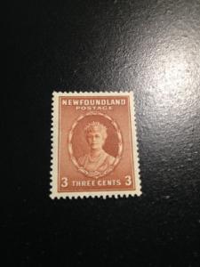 Newfoundland sc 187 MHR