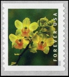 US #5436 Coil Stamp - 2020 Forever  Wild Orchids - MINT OG.