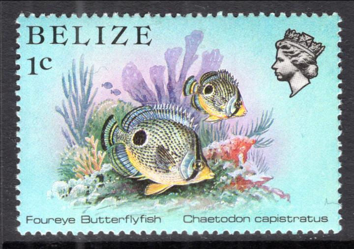 Belize 699 Fish MNH VF