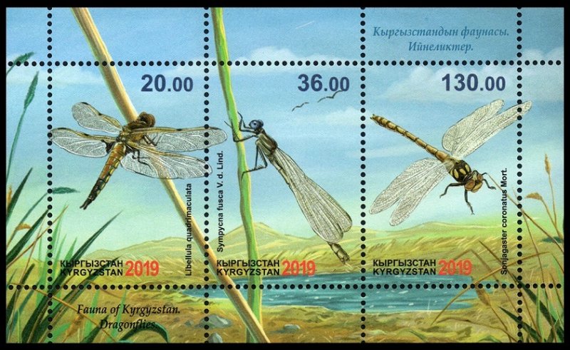 2019	Kyrgyzstan 	951-53/B101	Insects / Dragonflies