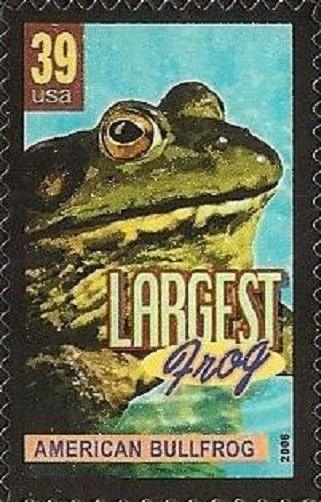US 4055 American Bullfrog Largest Frog 39c single MNH 2006