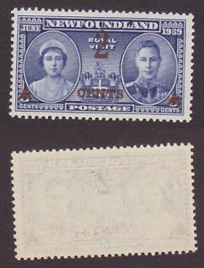 Newfoundland 250 VF MNH