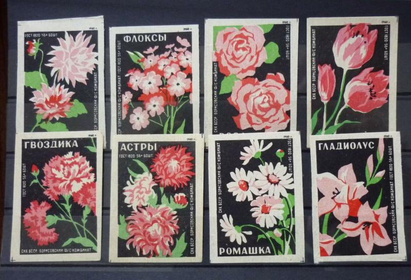 Match Box Labels! flora flower flowers nature russia sssr russland GJ7
