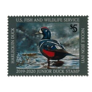 Mac's - JDS27 2019-20 US Junior Duck Stamp Mint OG NH XF Centering FREE Mount