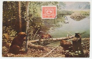 Maximum card Canada 1954 Beaver