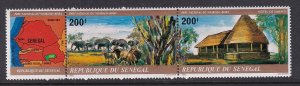 Senegal 527 MNH VF