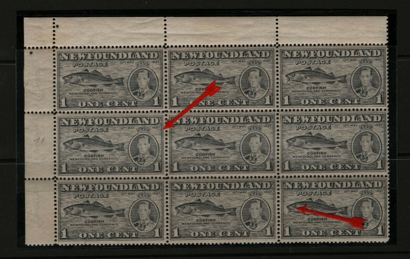 Newfoundland #233i #233iii Very Fine Never Hinged Block Of Nine Fishhook Var.