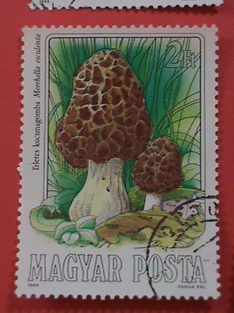 HUNGARY STAMP: COLORFUL BEAUTIFUL LOVELY MUSHROOM USED STAMPS SET.LARGE STAMPS.