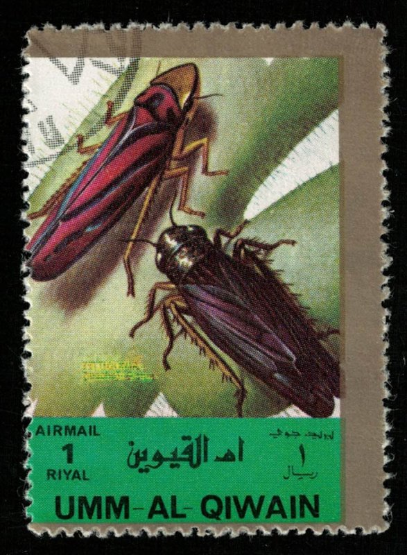 Insects (T-4928)