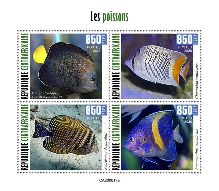 Central African Republic Fish Stamps 2020 MNH Fishes Tang Butterflyfish 4v M/S 