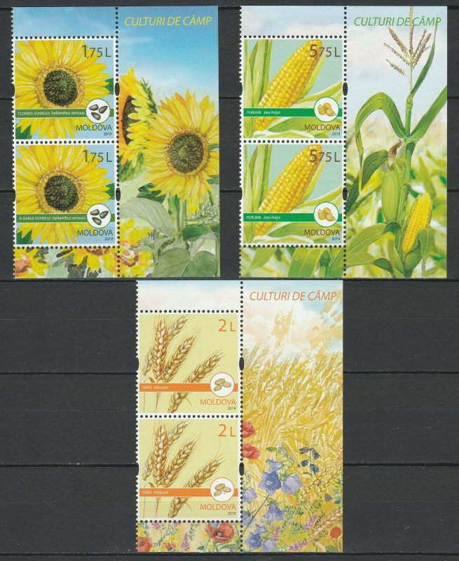 Moldova 2019 Field Crops 6 MNH stamps