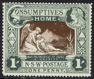 NEW SOUTH WALES 1897 QV HOSPITAL CHARITY 1/-