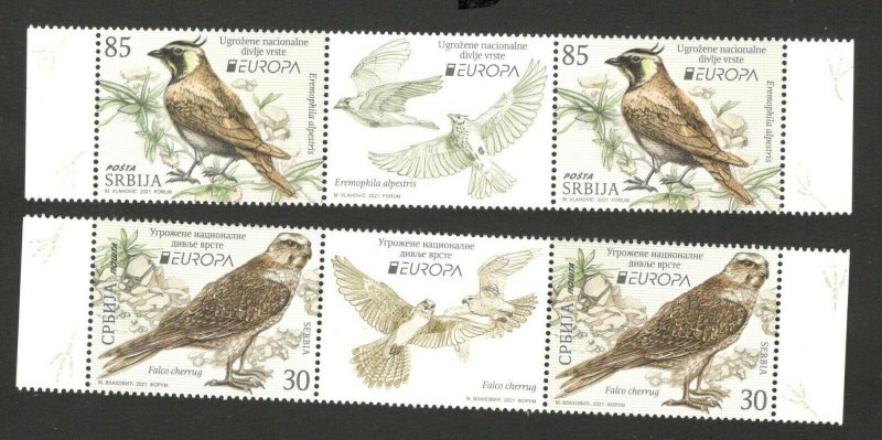 SERBIA-MNH STRIP-EUROPA CEPT- FAUNA - BIRDS -ENDANGERED NATIONAL WILDLIFE -2021.