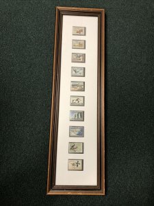 US Duck Stamps In frame 10 * $3 Stamps All Has Signature On It.