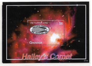 2007 Grenada 3650 Halley's Comet MNH S/S