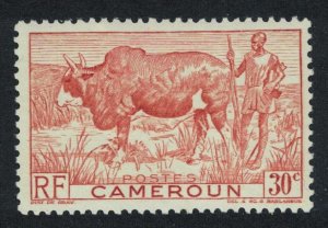 Cameroun Zebu and Herdsman 30c 1946 MNH SG#233