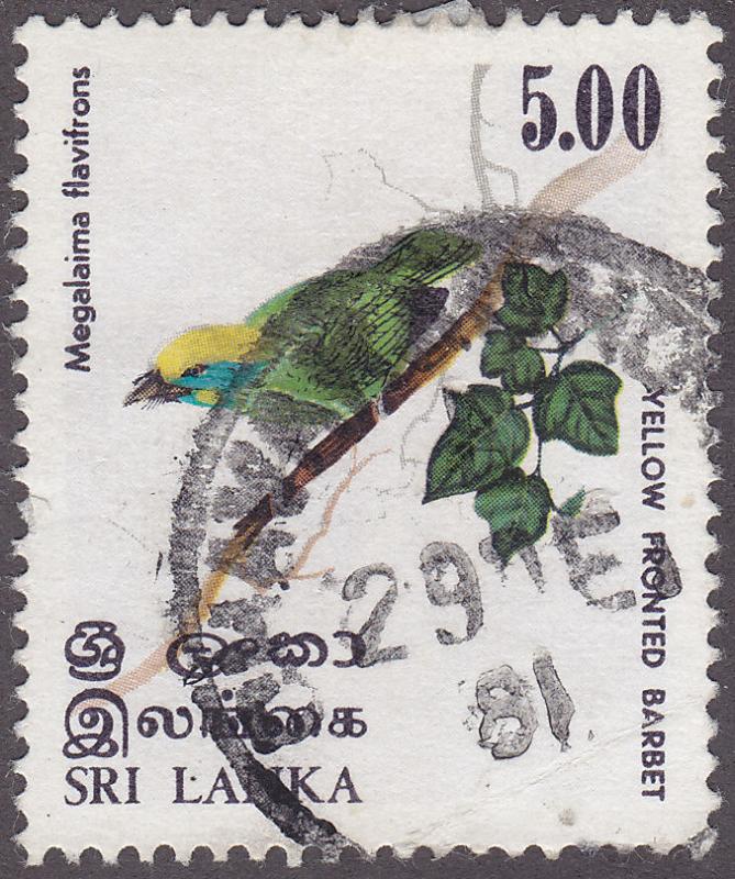 Sri Lanka 568  Yellow-Fronted Barbet, Birds 1979