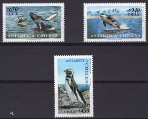 Chile 2000 Sc#1340/1342  Antarctic Fauna Set (3) Perforated MNH CV$25.00