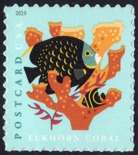 5363 - 2019 35c Coral Reefs: Elkhorn Coral - Mystic Stamp Company