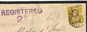 GB Cover *REGISTERED / 2d* VIOLET WATERLOWS Stationery & Perfin 1900 22a.3 