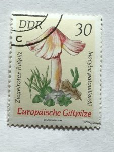 Germany-DDR – 1974 – Single “Mushroom” stamp – SC# 1538 - CTO