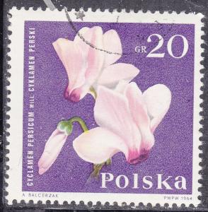 Poland 1279 Cyclamen 1964