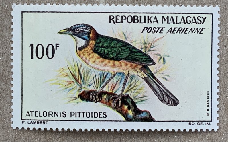 Malagasy 1963 100fr Ground Roller bird, MNH.  Scott C73, CV $4.00
