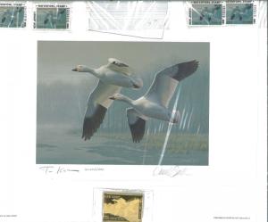 NEW JERSEY  #6 1989  DUCK  STAMP PRINT  SNOW GEESE GOVERNOR'S ED Dan Smith