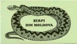 Booklet - Moldova 1993 WWF Protected Animals (Snakes) 104...